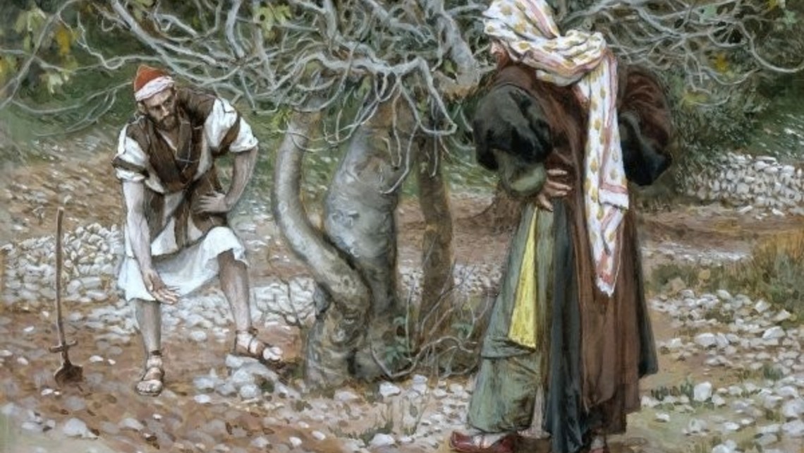 higuera