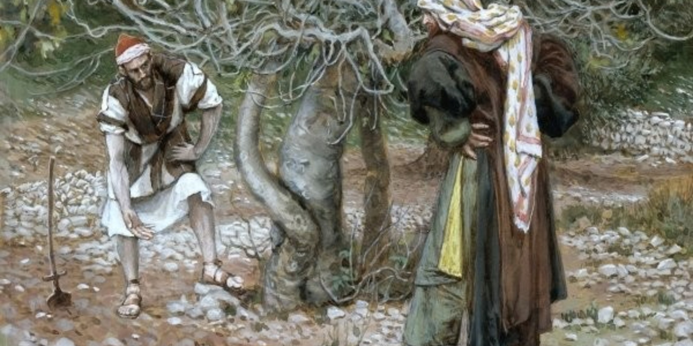 higuera